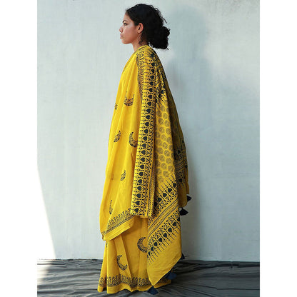 Chidiyaa Daisy Cotton Saree Fmtm with Unstitched Blouse