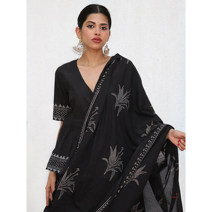 Chidiyaa Nomad Isla Cotton Saree with Unstitched Blouse