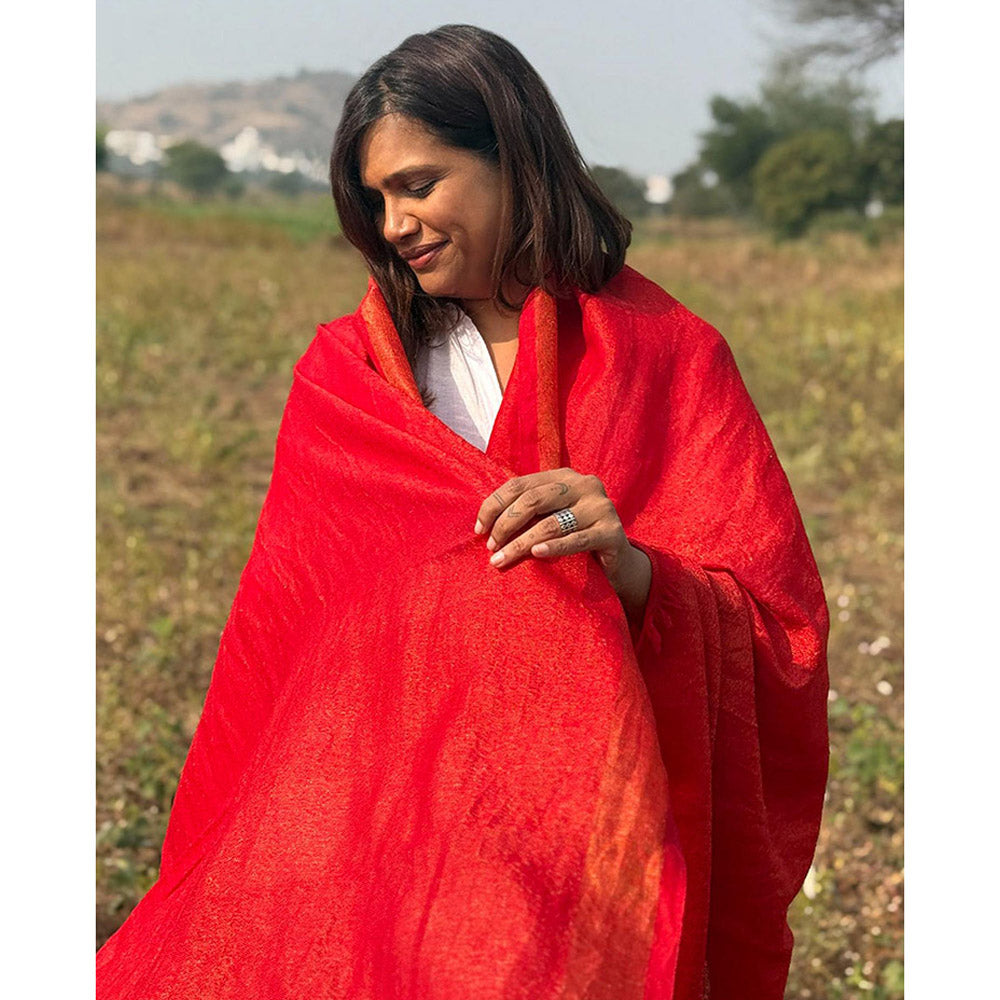 Chidiyaa Sardi Ki Dhoop Berry Brule Pure Wool Zari Shawl