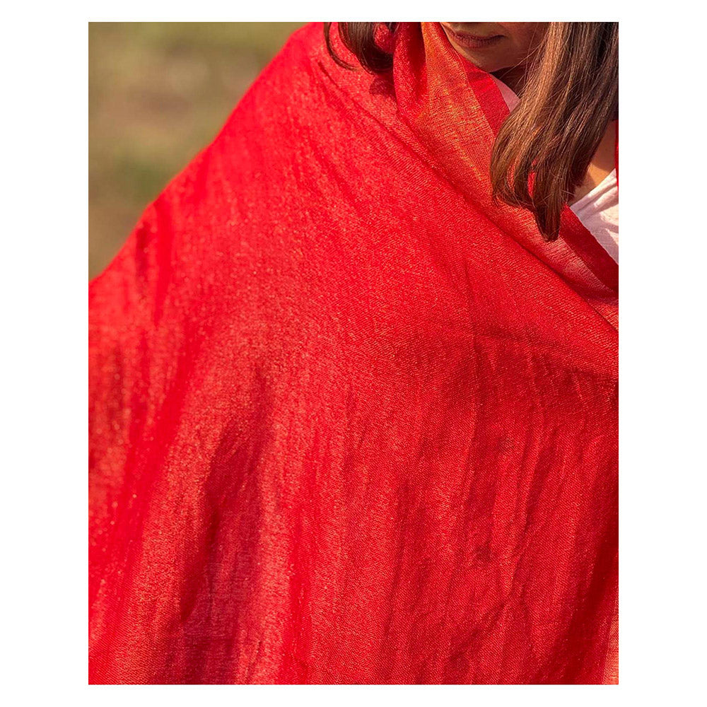 Chidiyaa Sardi Ki Dhoop Berry Brule Pure Wool Zari Shawl