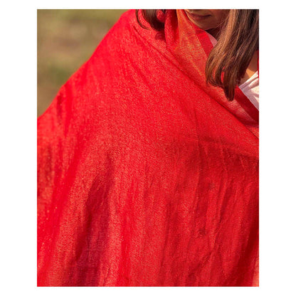Chidiyaa Sardi Ki Dhoop Berry Brule Pure Wool Zari Shawl