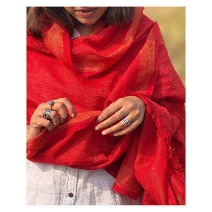 Chidiyaa Sardi Ki Dhoop Berry Brule Pure Wool Zari Shawl