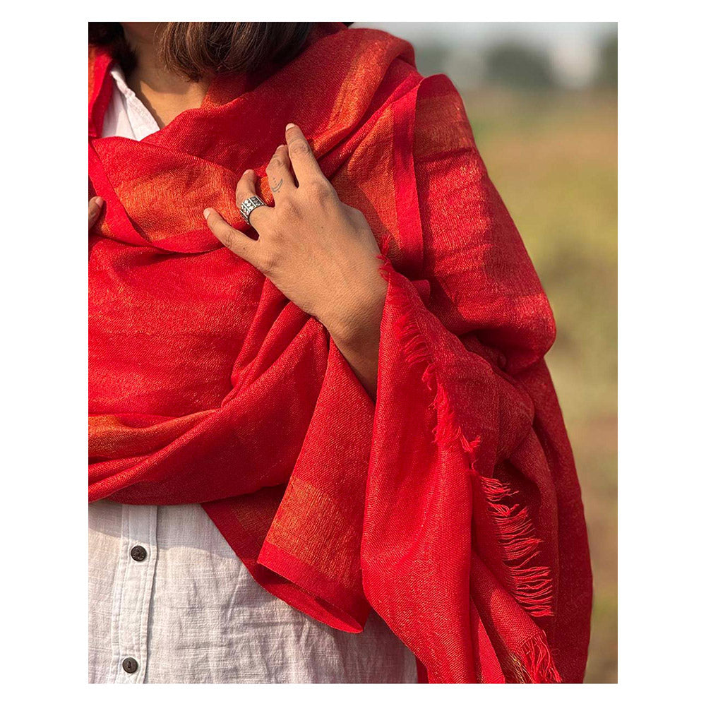 Chidiyaa Sardi Ki Dhoop Berry Brule Pure Wool Zari Shawl