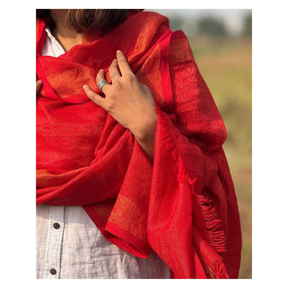 Chidiyaa Sardi Ki Dhoop Berry Brule Pure Wool Zari Shawl