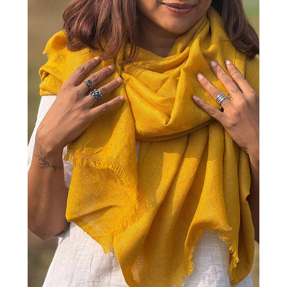 Chidiyaa Sardi Ki Dhoop Honeyed Hearth Pure Wool Zari Shawl