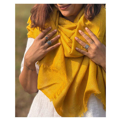 Chidiyaa Sardi Ki Dhoop Honeyed Hearth Pure Wool Zari Shawl