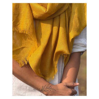 Chidiyaa Sardi Ki Dhoop Honeyed Hearth Pure Wool Zari Shawl