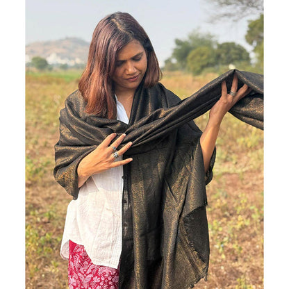 Chidiyaa Sardi Ki Dhoop Midnight Mocha Pure Wool Zari Shawl