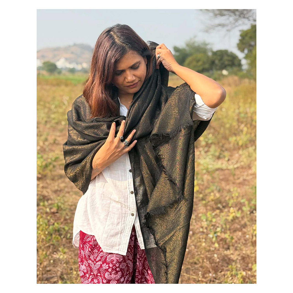 Chidiyaa Sardi Ki Dhoop Midnight Mocha Pure Wool Zari Shawl