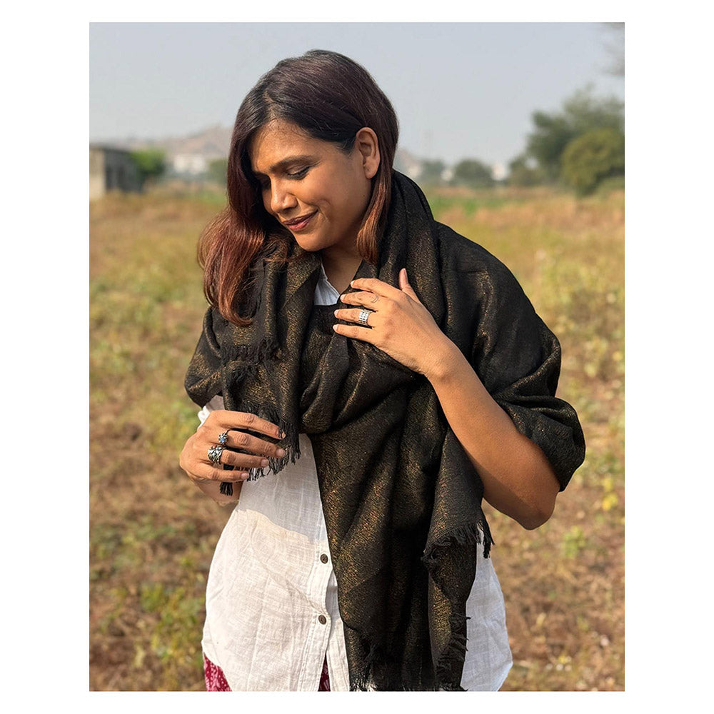 Chidiyaa Sardi Ki Dhoop Midnight Mocha Pure Wool Zari Shawl