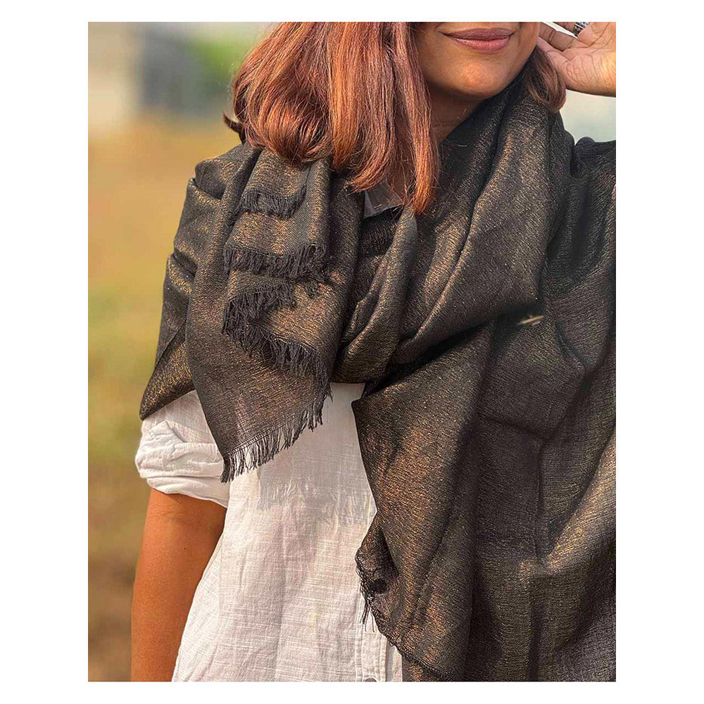 Chidiyaa Sardi Ki Dhoop Midnight Mocha Pure Wool Zari Shawl