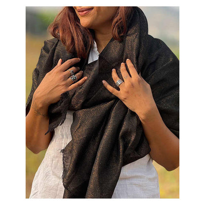 Chidiyaa Sardi Ki Dhoop Midnight Mocha Pure Wool Zari Shawl