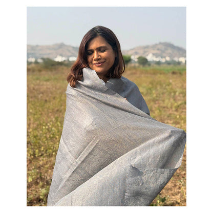 Chidiyaa Sardi Ki Dhoop Morning Mist Pure Wool Zari Shawl