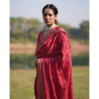 Chidiyaa Rang Barse Radha Block Print Dola Silk Saree