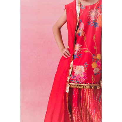 Chotibuti Gulaab Red Embroidered Kurta with Sharara and Dupatta