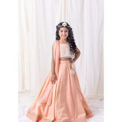 Chotibuti Peach Pure Cotton Embroidered Lehnga Set