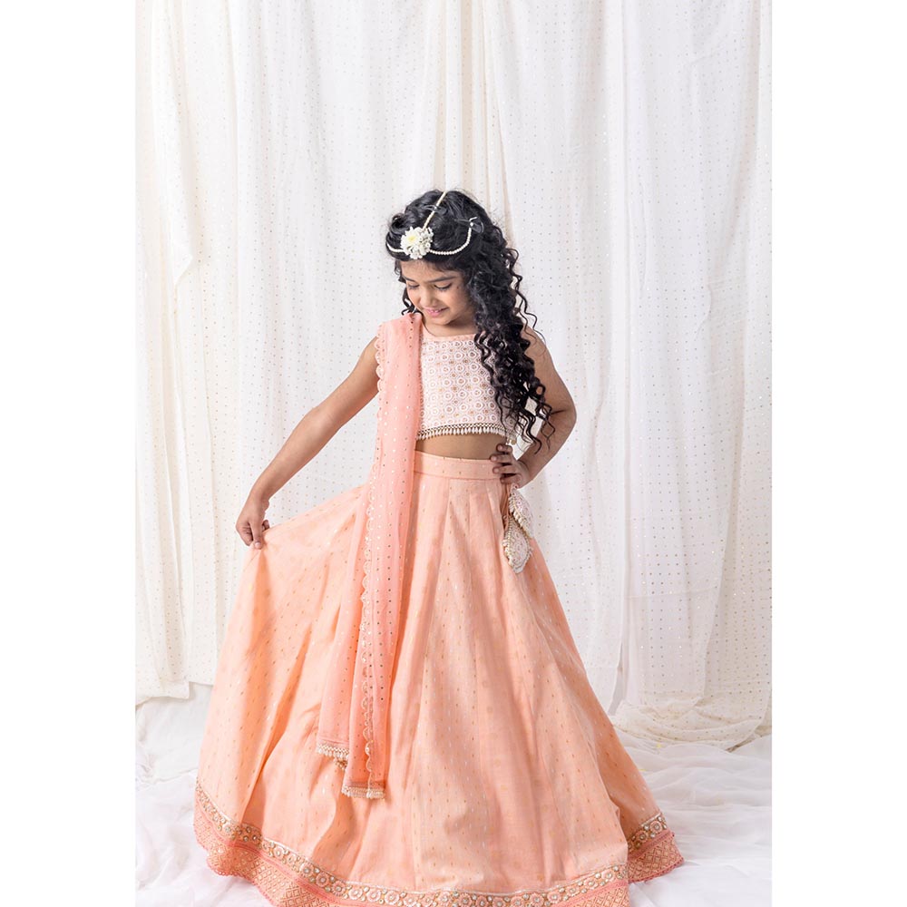 Chotibuti Peach Pure Cotton Embroidered Lehnga Set