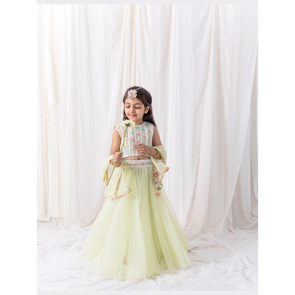 Chotibuti Green Organza Embroidered Lehnga Set