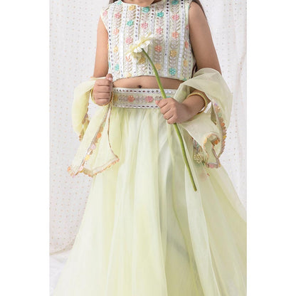 Chotibuti Green Organza Embroidered Lehnga Set