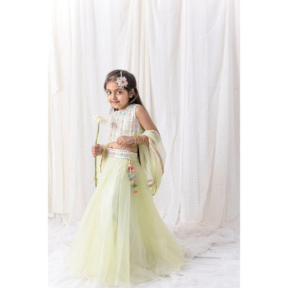 Chotibuti Green Organza Embroidered Lehnga Set