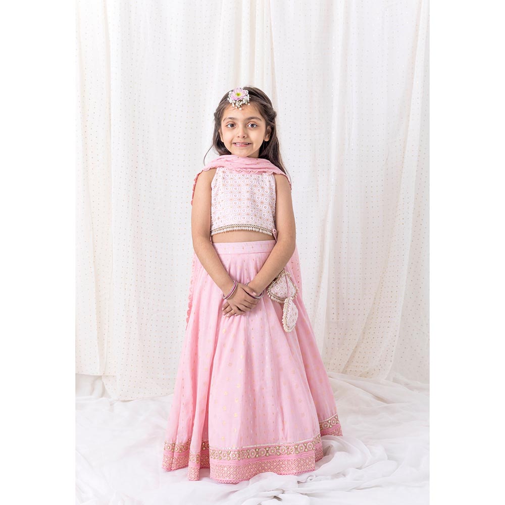 Chotibuti Pink Embroidered Lehnga Set
