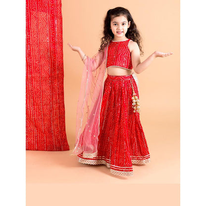 Chotibuti Red Bandhani Printed Cotton Lehnga Set