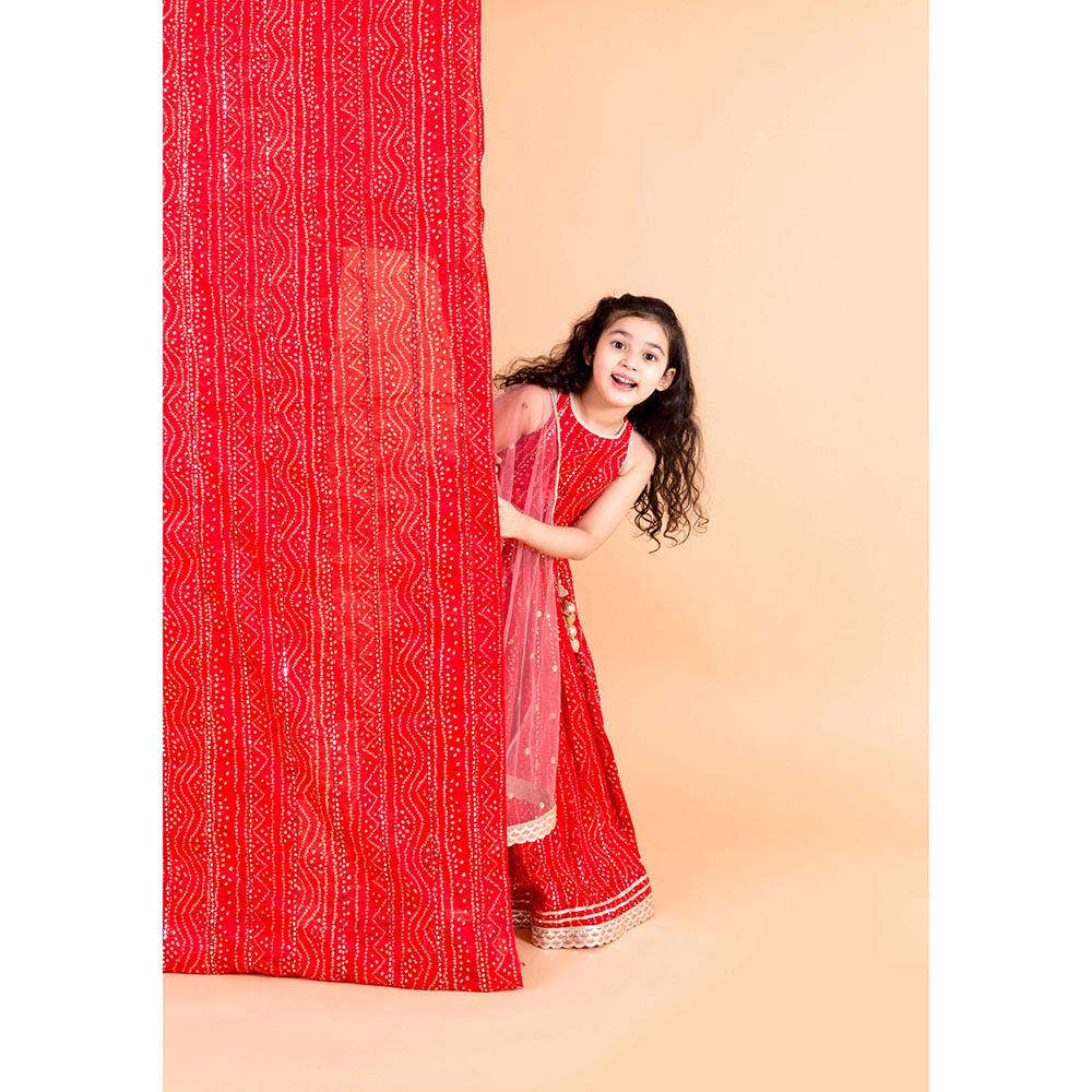 Chotibuti Red Bandhani Printed Cotton Lehnga Set