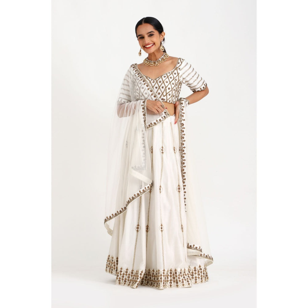 Closet Aura Embellished Lehenga with Blouse & Dupatta (Set of 3)