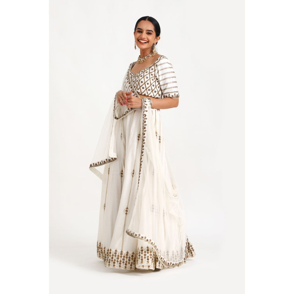 Closet Aura Embellished Lehenga with Blouse & Dupatta (Set of 3)