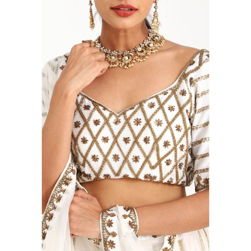 Closet Aura Embellished Lehenga with Blouse & Dupatta (Set of 3)