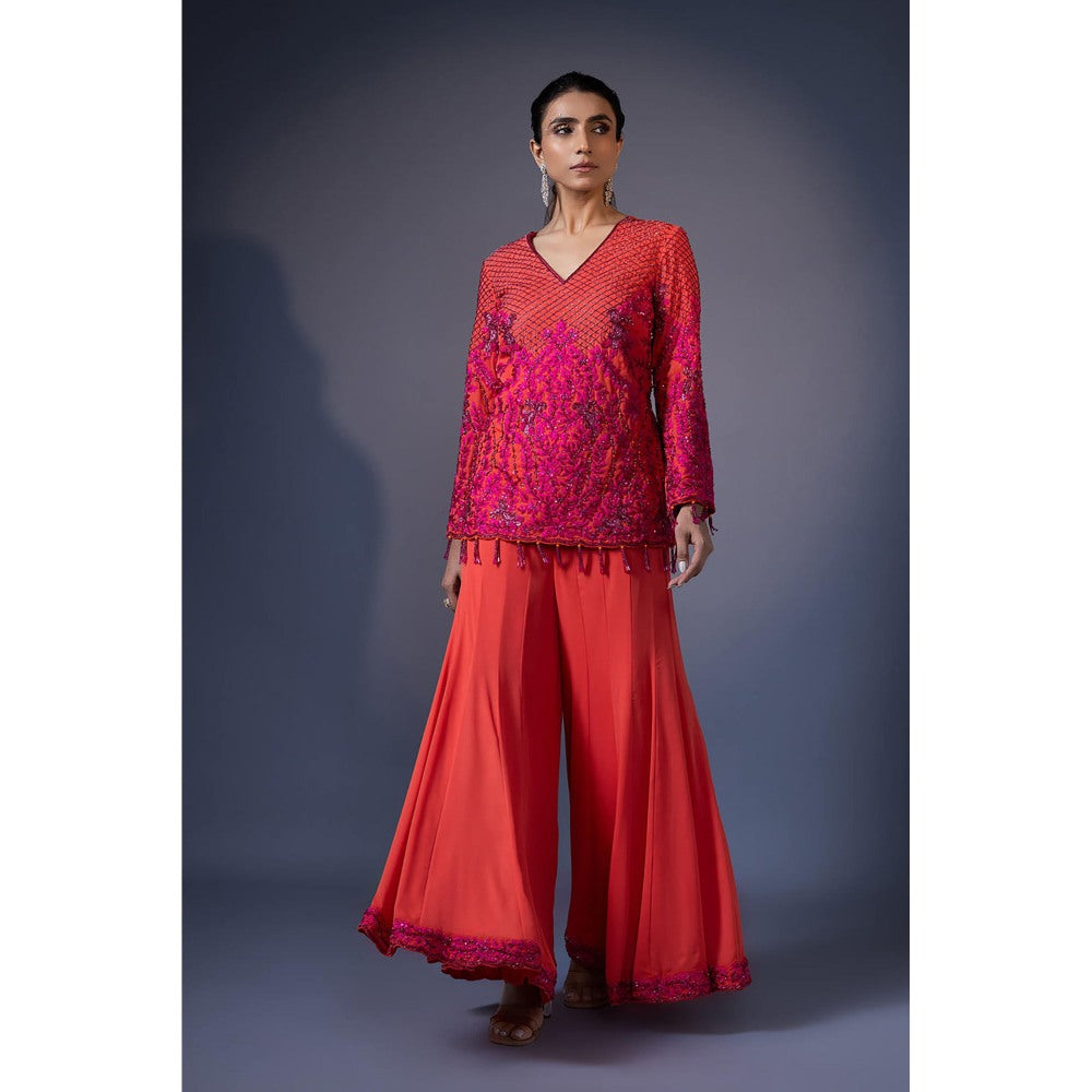 Daatri by meenakshi kakkar Orange Embroidered Top with Kali Sharara (Set of 2)