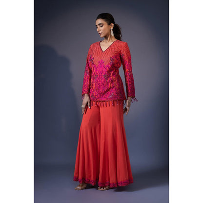 Daatri by meenakshi kakkar Orange Embroidered Top with Kali Sharara (Set of 2)