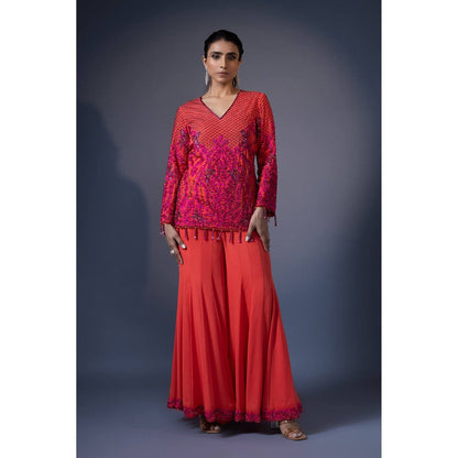 Daatri by meenakshi kakkar Orange Embroidered Top with Kali Sharara (Set of 2)