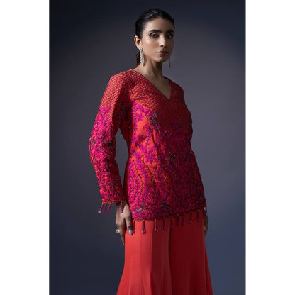 Daatri by meenakshi kakkar Orange Embroidered Top with Kali Sharara (Set of 2)