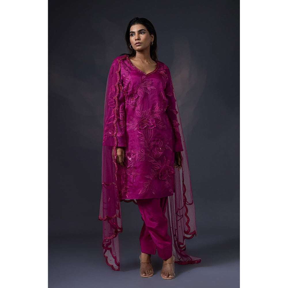 Daatri by meenakshi kakkar Pink 3D Embroidered Kurta with Salwar and Dupatta (Set of 3)