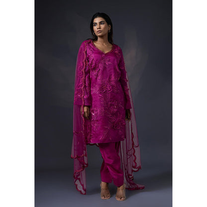 Daatri by meenakshi kakkar Pink 3D Embroidered Kurta with Salwar and Dupatta (Set of 3)
