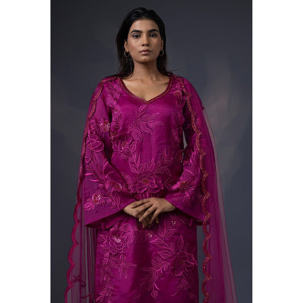 Daatri by meenakshi kakkar Pink 3D Embroidered Kurta with Salwar and Dupatta (Set of 3)