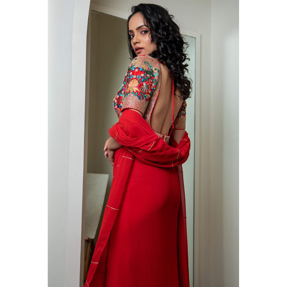 Daatri by meenakshi kakkar Red Kali Saree with Stitched Blouse