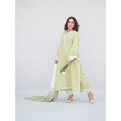 Daljit Sudan Sage Green Linen Kurta with Pant and Dupatta (Set of 3)