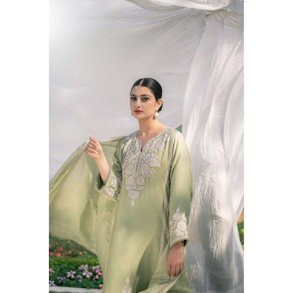 Daljit Sudan Mint Green Muslin Kurta with Pant and Dupatta (Set of 3)