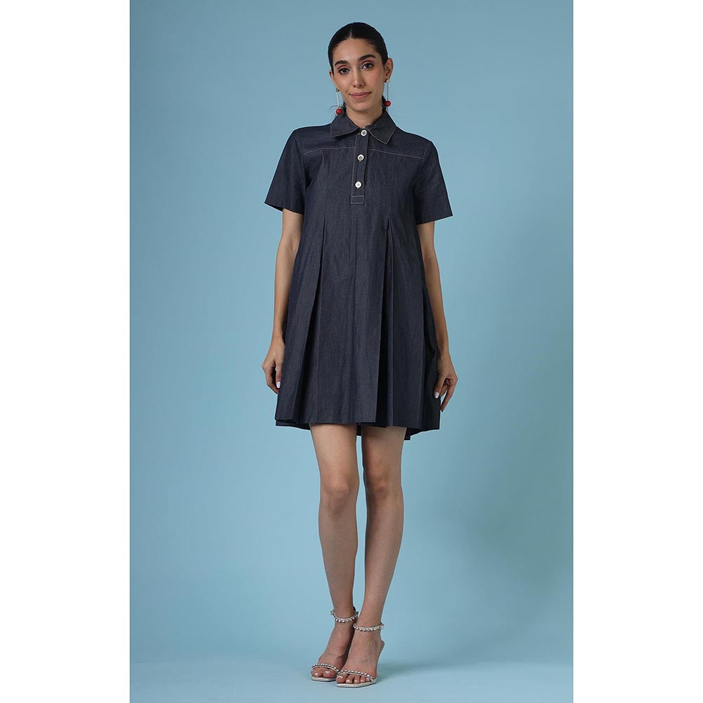 DARLYTTE Women Collared Dorothy Dress