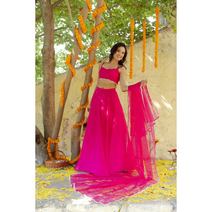 DEASHA INDIA Rani Magenta Pink Detailed Lehenga with Blouse and Dupatta (Set of 3)