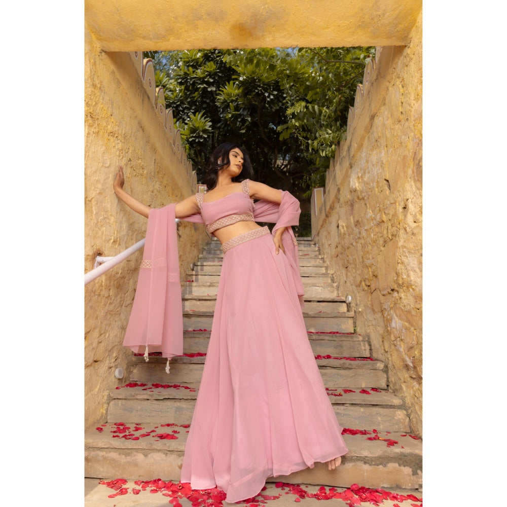 DEASHA INDIA Tarini Pastel Pink Detailed Lehenga with Blouse and Dupatta (Set of 3)
