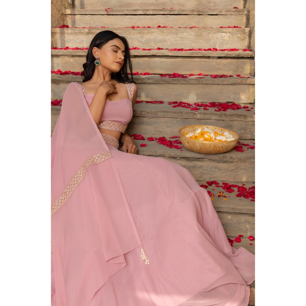 DEASHA INDIA Tarini Pastel Pink Detailed Lehenga with Blouse and Dupatta (Set of 3)