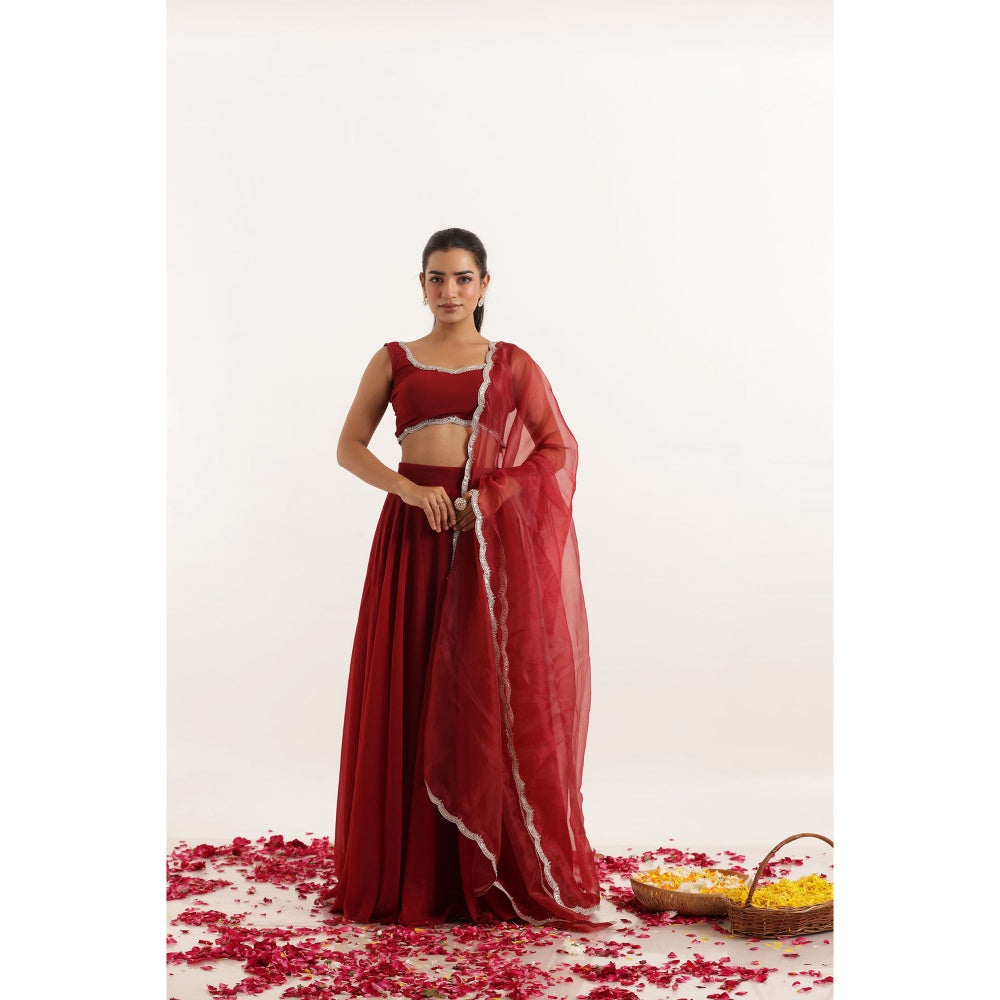 DEASHA INDIA Noor Red Detailed Lehenga with Blouse and Dupatta (Set of 3)
