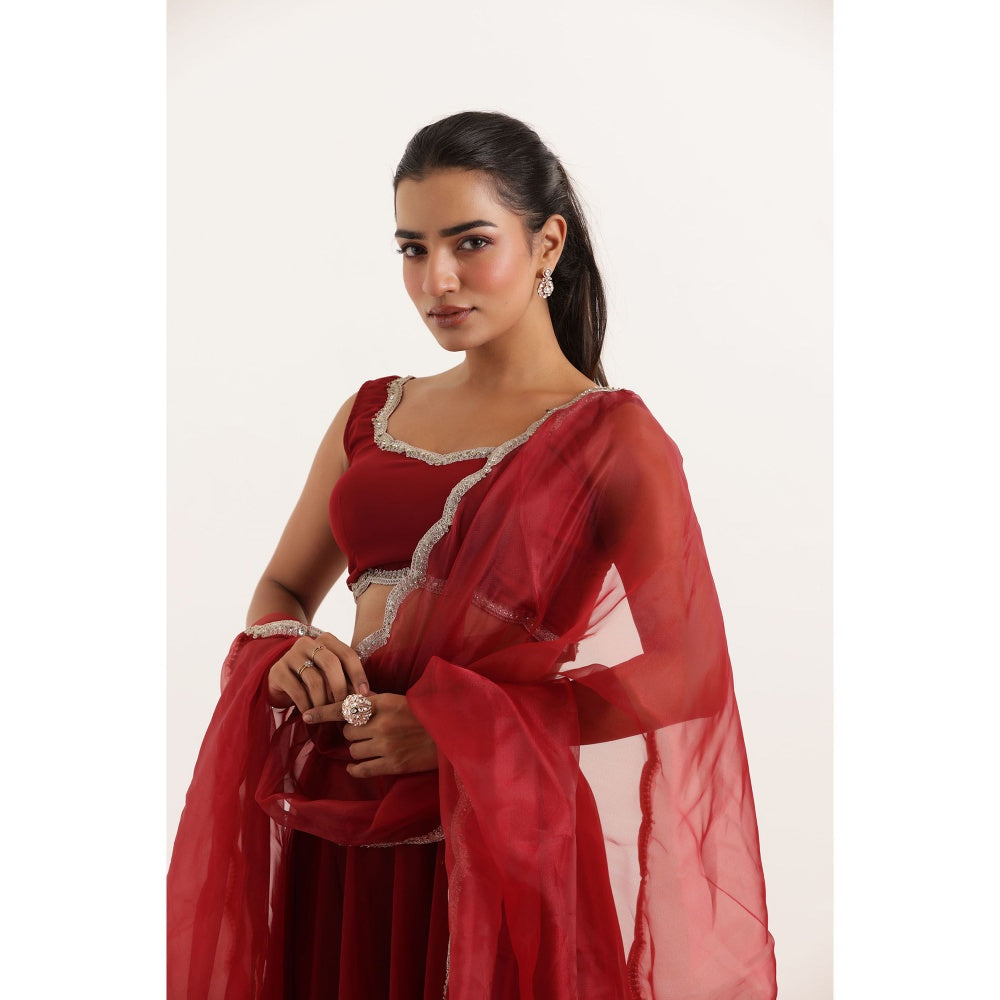 DEASHA INDIA Noor Red Detailed Lehenga with Blouse and Dupatta (Set of 3)