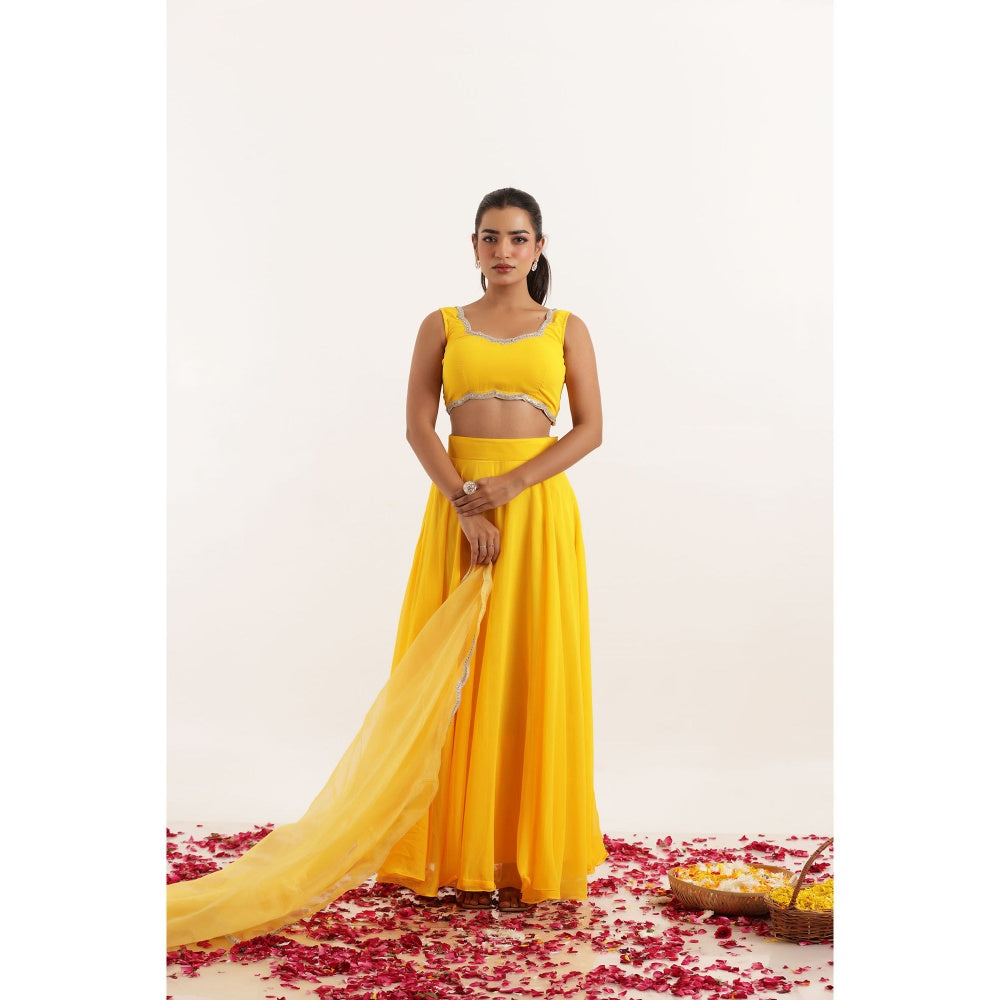 DEASHA INDIA Kavya Yellow Detailed Lehenga with Blouse and Dupatta (Set of 3)