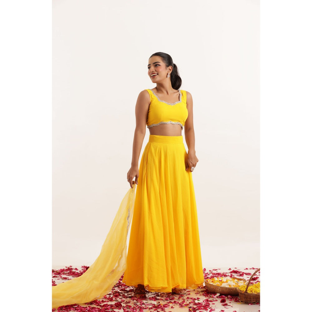 DEASHA INDIA Kavya Yellow Detailed Lehenga with Blouse and Dupatta (Set of 3)