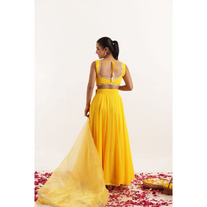 DEASHA INDIA Kavya Yellow Detailed Lehenga with Blouse and Dupatta (Set of 3)