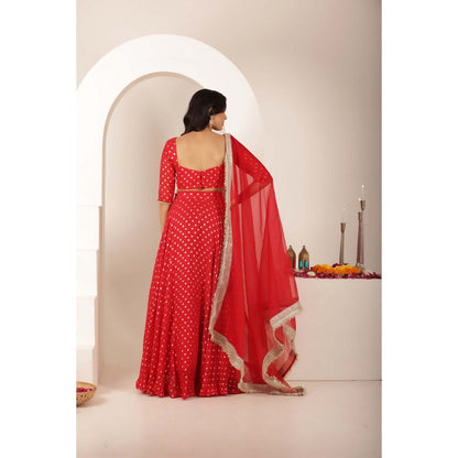 DEASHA INDIA Jivika Red Buti Lehenga with Blouse and Dupatta (Set of 3)